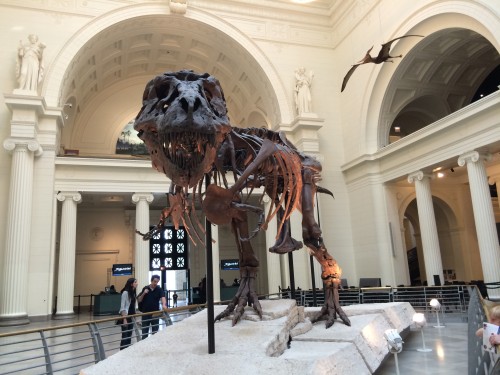 Sue the T. Rex